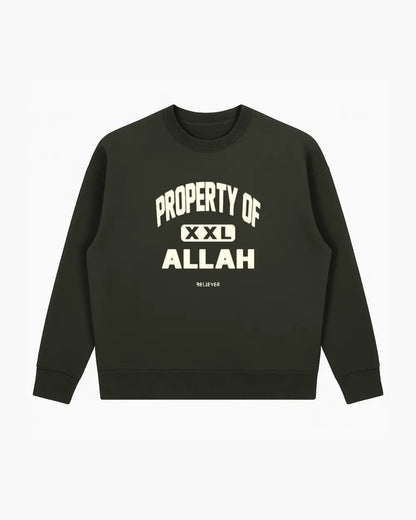 POA Unisex Sweatshirt - Olive Green